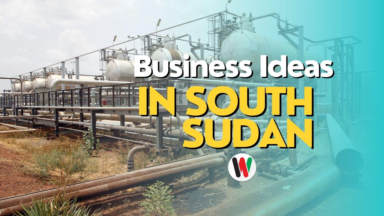 Explore The Best Business Opportunities In South Sudan.