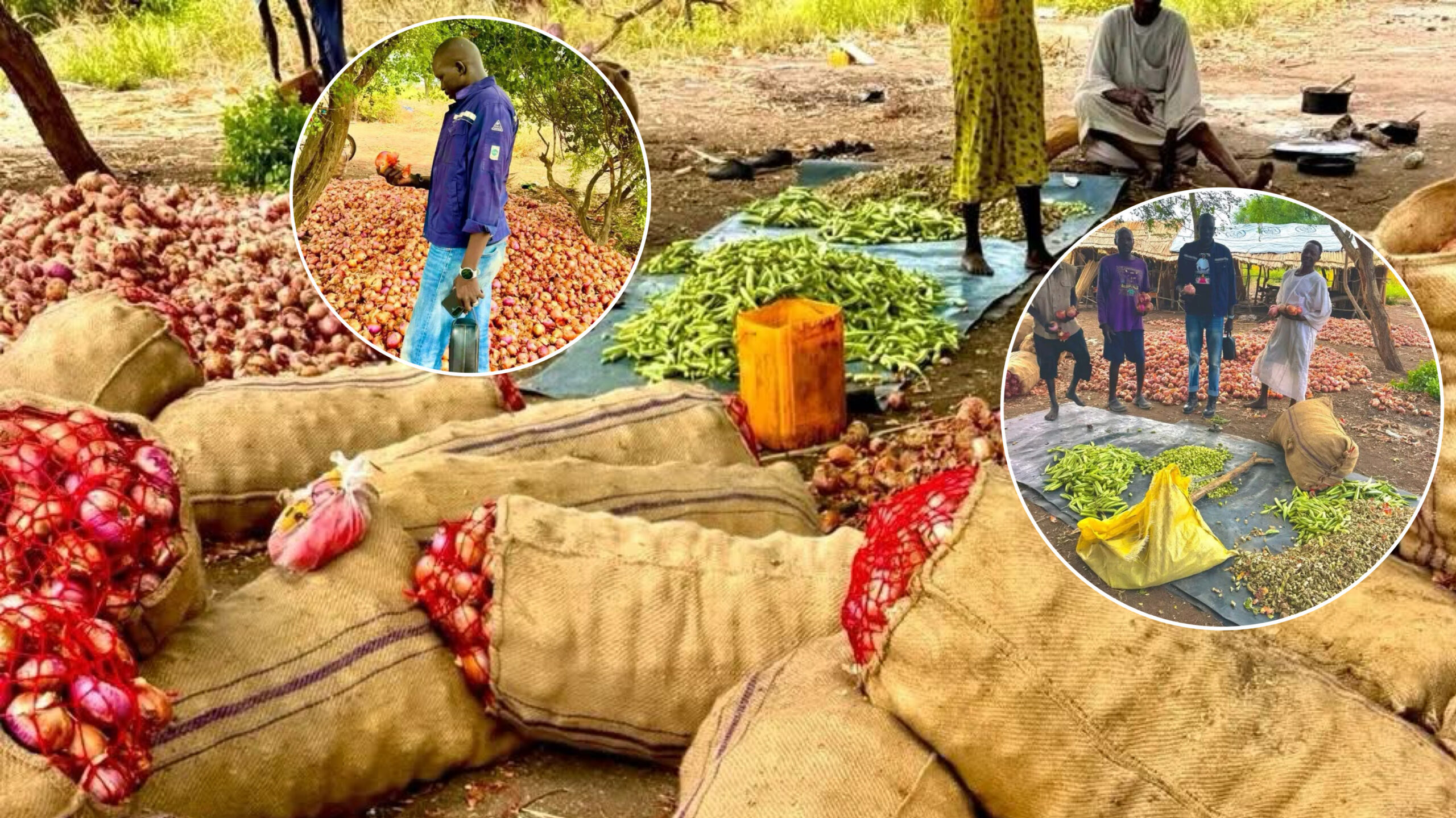 The Future Is in the Soil: Wang D. Jock Urges Youth to Embrace Modern Agriculture